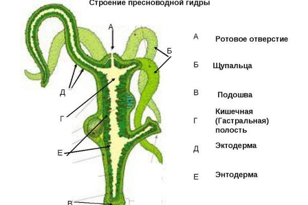 Кракен даркнет купить