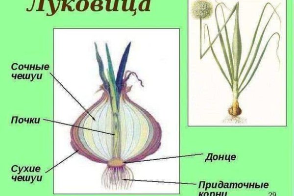 Кракен наркотики россия