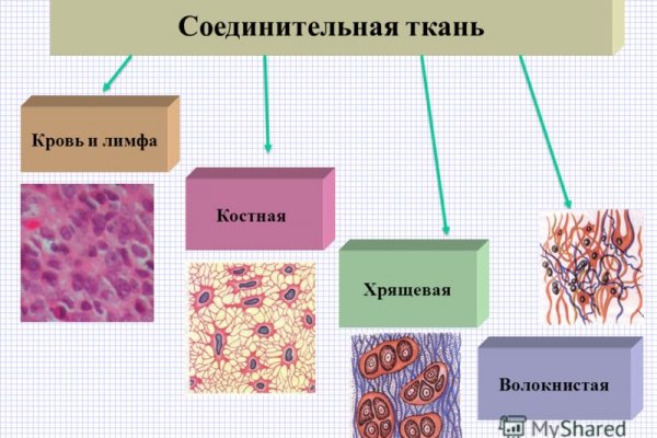 Что такое кракен сайт